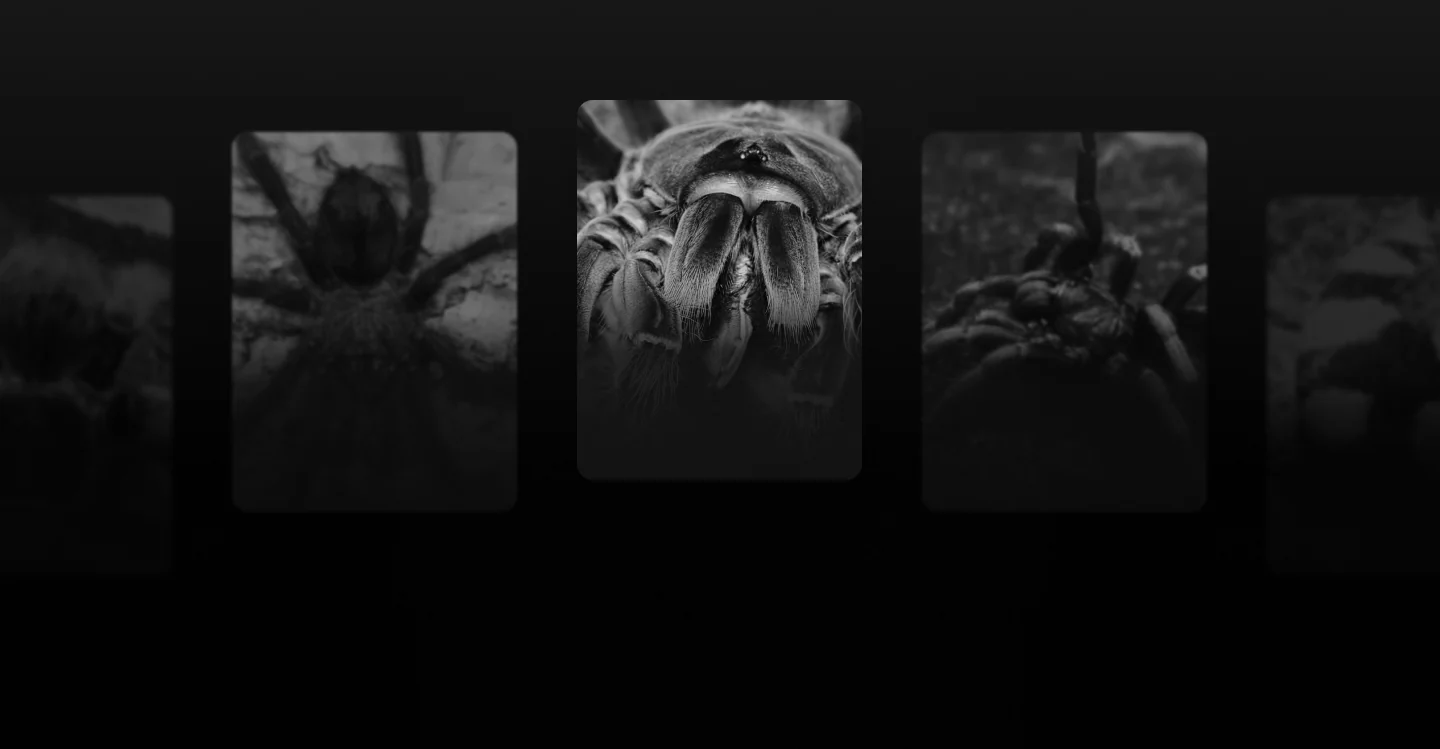 Master the World of Invertebrates